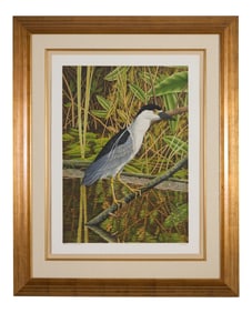 John Costin (American/Florida, b. 1955), "Black Crowned Night Heron," H.- 37 1/2 in., W.- 27 1/2