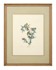 John James Audubon (American, 1781-1851), "American Goldfinch," from the Birds of America, no. 7,