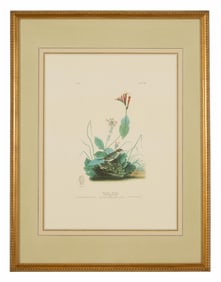 John James Audubon (American, 1781-1851), "Henslows Bunting," from the Birds of America, no. 14, pl.