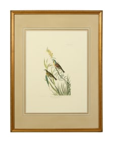 John James Audubon (American, 1781-1851), "Black-throated Bunting," from the Birds of America, no.