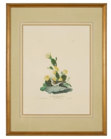 John James Audubon (American, 1781-1851), "Grass Finch or Bay-Winged Bunting," from the Birds of