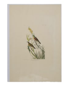 John James Audubon (American, 1781-1851), "Black-throated Bunting," from the Birds of America, no.