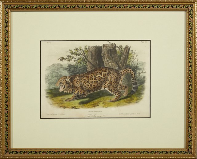 John James Audubon (1785-1851), "The Jaguar," 19th c.,: John James Audubon (1785-1851), "The Jaguar," 19th c., colored octavo print, Plate 101, No. 21, framed, H.- 6 in., W.- 8 1/2 in.