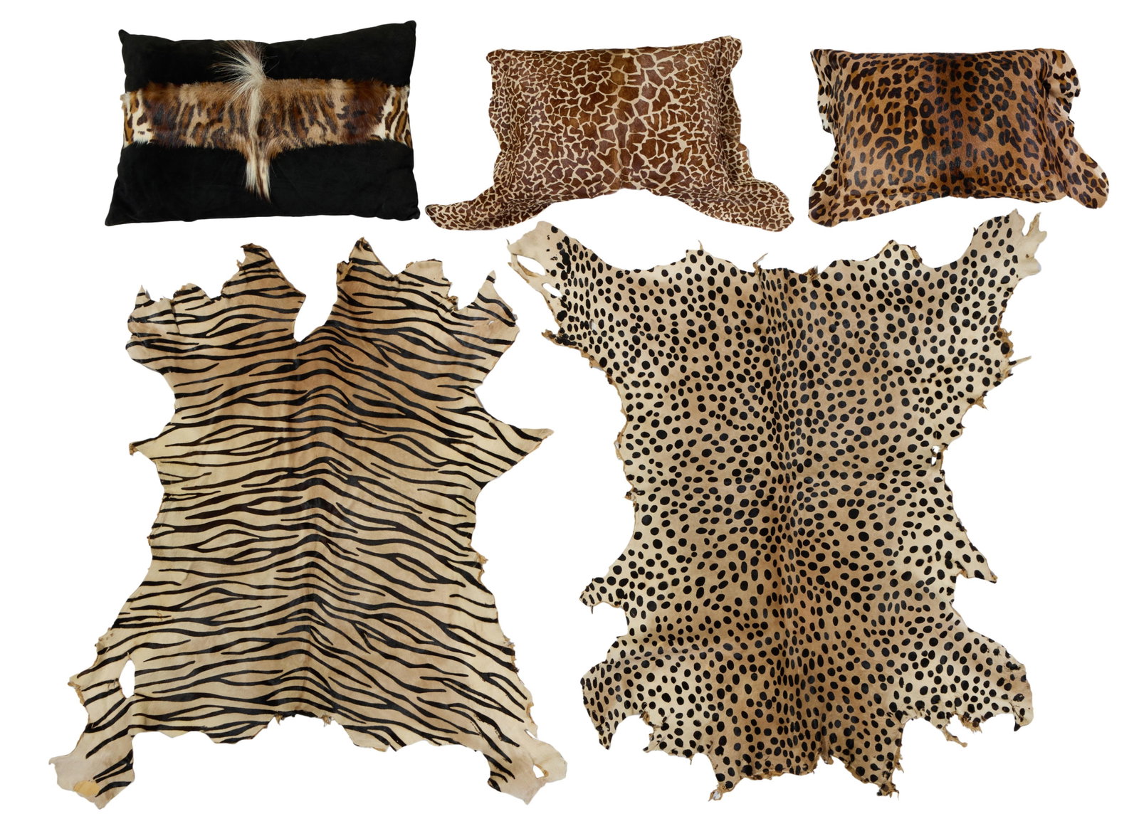 Group of Five Dyed Animal Hides, 20th c., Tiger Print- H.- 40 in., W.- 35 in. (5 Pcs.) (1 of 5)