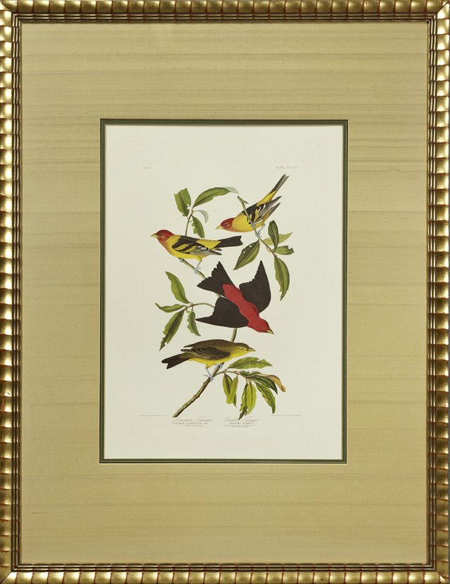 John James Audubon (1785-1851), "Louisiana Tanager,": John James Audubon (1785-1851), "Louisiana Tanager," Plate 354, No. 71, Princeton Edition, framed, H.- 24 1/2 in., W.- 17 1/8 in.