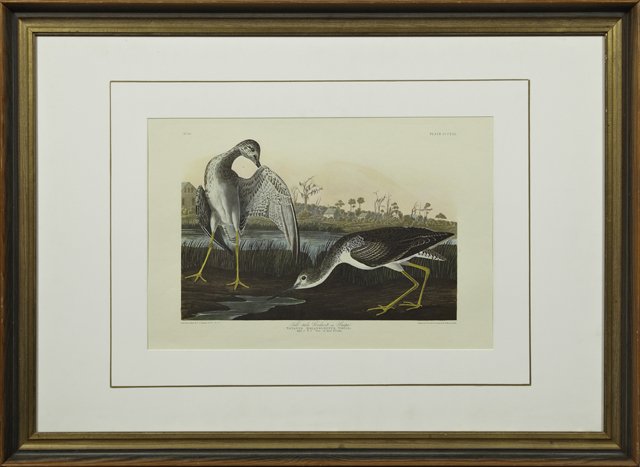 John James Audubon (1785-1851), "Tell-Tale Godwit or: John James Audubon (1785-1851), "Tell-Tale Godwit or Snipe," No. 62, Plate 308, Amsterdam edition, framed, H.- 16 in., W.- 24 in.