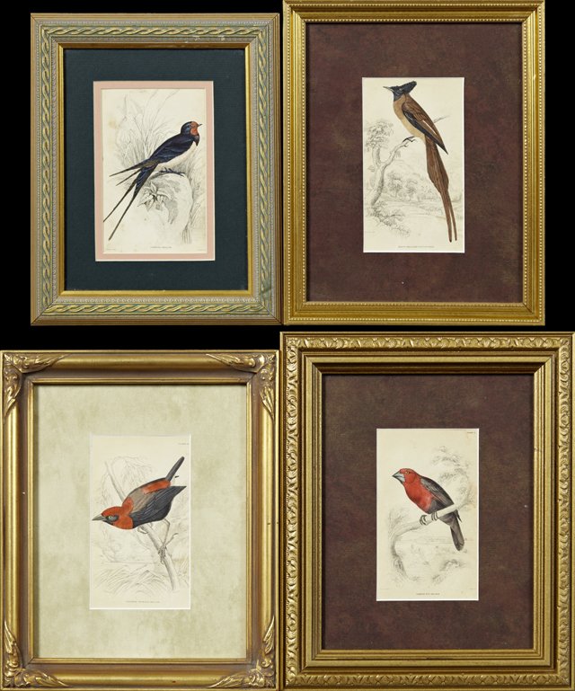 William Home Lizars, "Crimson Crowned Weaver," "Chimney: William Home Lizars, "Crimson Crowned Weaver," "Chimney Swallow," "Crimson Nut Cracker," and "Rufus-Bellied Flycatcher," 19th c., group of four hand-colored prints from William Swainson's "Natural His