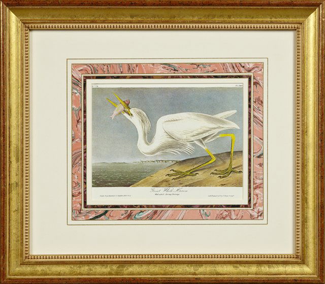 John James Audubon (1785-1851), "Great White Heron," (1 of 1)