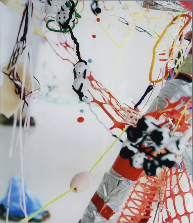 Sally Heller (New Orleans), "#1 From the Series: Sally Heller (New Orleans), "#1 From the Series Calamitrees," 2007, color print, signed, dated and titled verso, plexiglass framed, H.- 24 in., W.- 20 in.