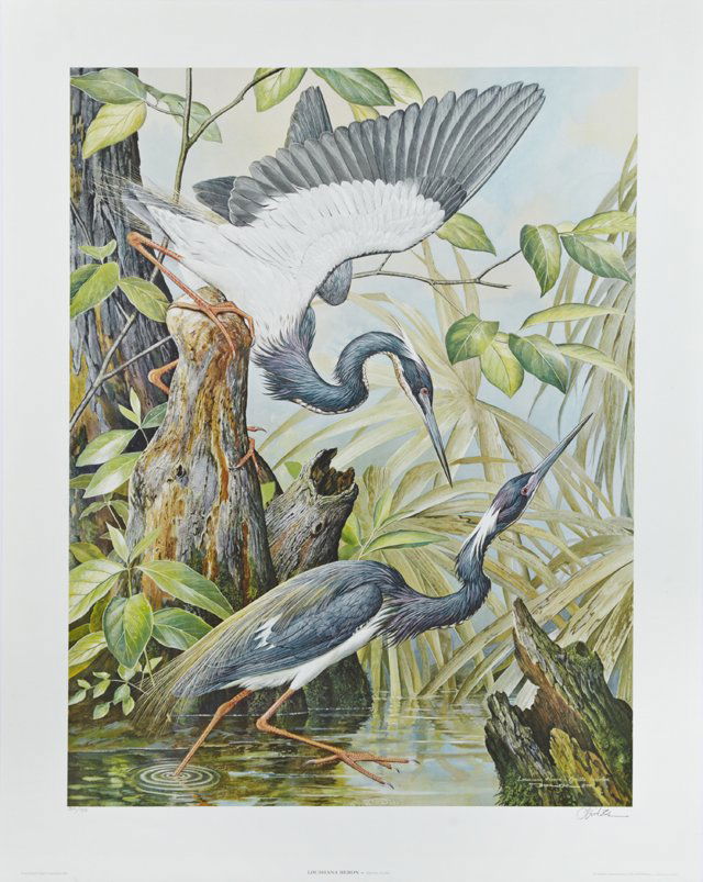 Basil Ede (1931- , English), "Louisiana Heron," 1983, (1 of 1)