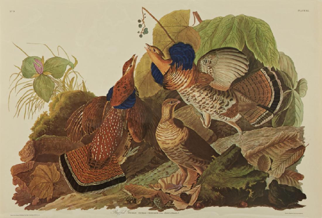 John James Audubon (1785-1851), "Ruffed Grouse," No. 9, (1 of 1)