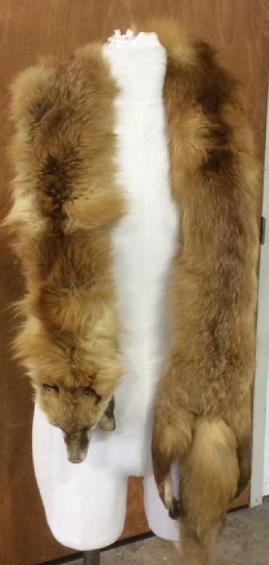 2 Antique Genuine Fur Pelt Wraps Group of 2, likely (1 of 6)