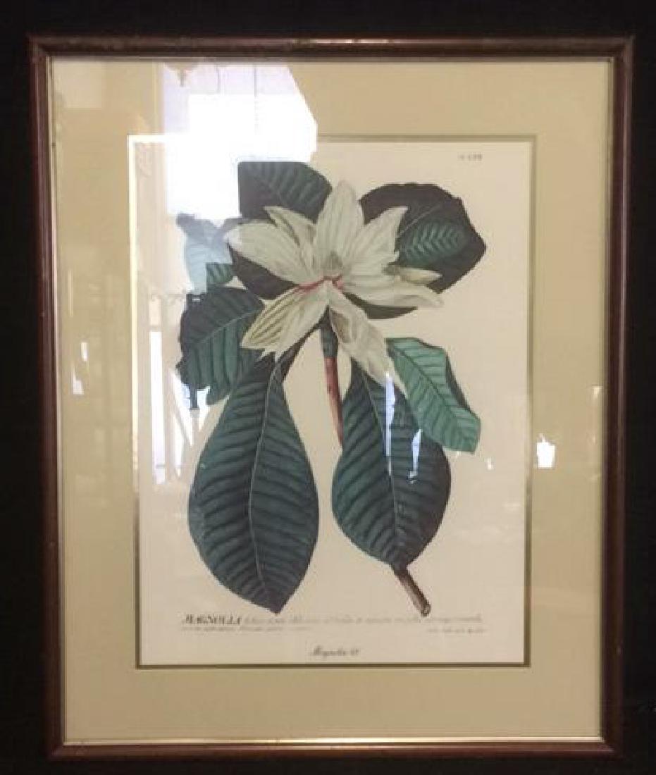 Vintage Framed Matted Magnolia-62 Print Classic (1 of 5)