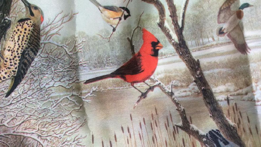 Group Lot Women's Scarves Assorted (1 of 4)