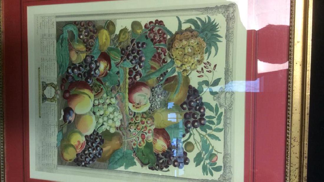 Framed Artwork Robert Furber Fruits (1 of 12)