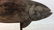 Folk Art Wood Fish Sculpture on Stand - 6