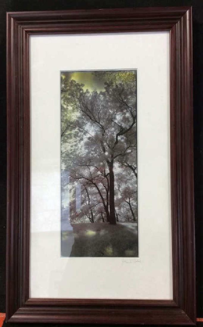 John Forbes Signed Tree photograph (1 of 6)