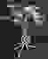 item-53475924=5