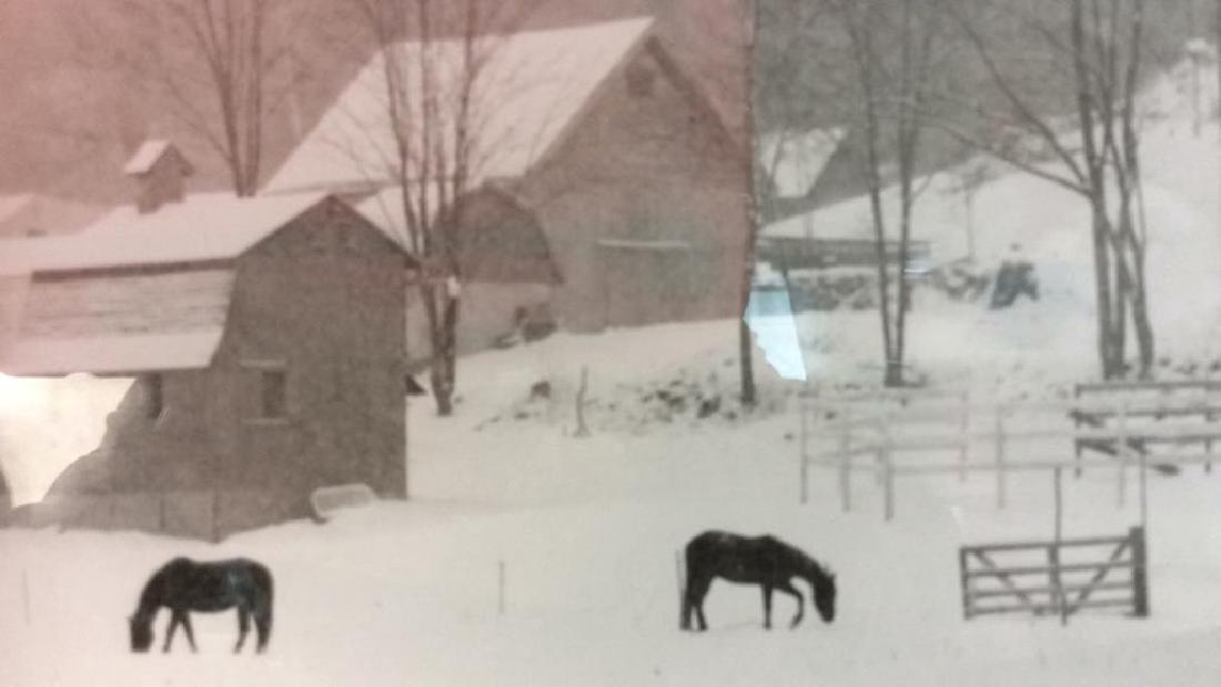 Signed JC White horse scene artwork (1 of 7)