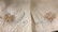 Group Lot 9 Pair Vintage Ladies White Gloves - 4