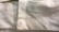 Group Lot 9 Pair Vintage Ladies White Gloves - 6