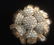 CINER Estate Jewelry Rhinestone Brooch