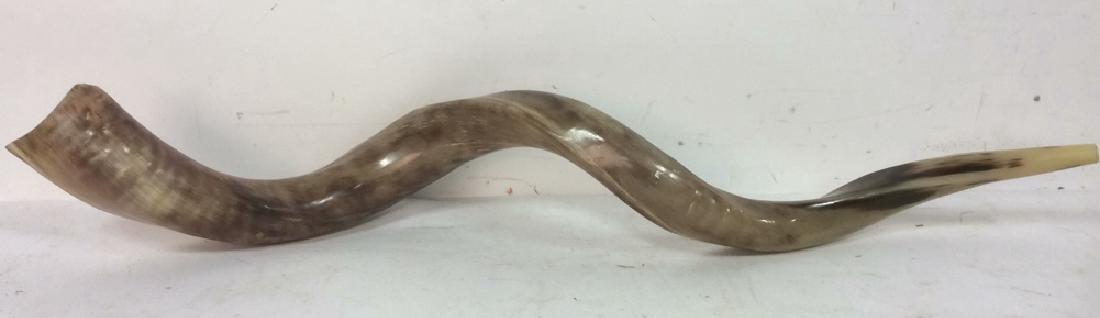 Vintage Rams Horn Shofar (1 of 8)