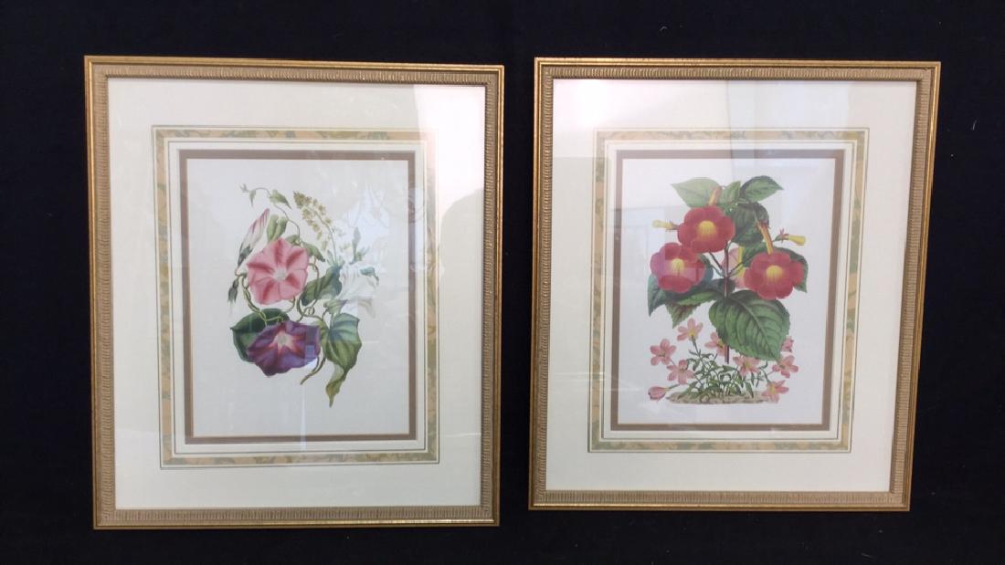 Pair  Framed Floral Botanical Prints (1 of 8)