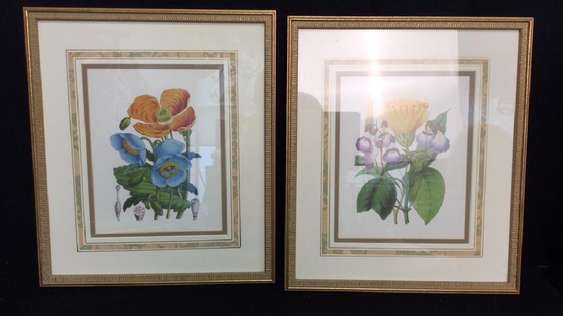 Pair Of Framed Floral Prints (1 of 8)