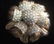 CINER Estate Jewelry Rhinestone Brooch - 2