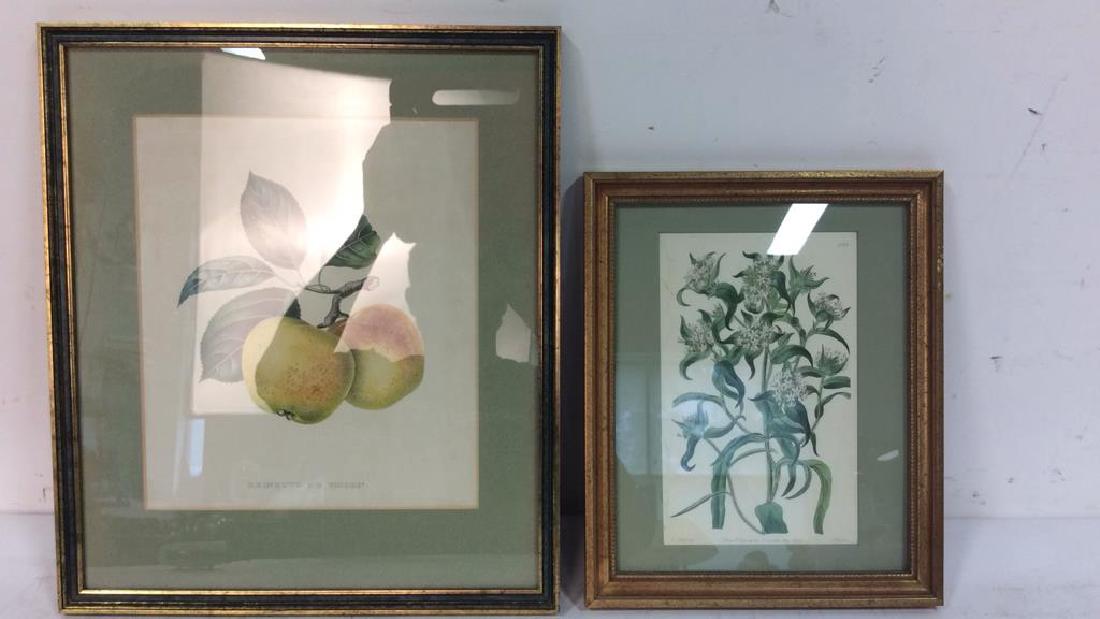 Lot 2 Framed Apple Print & Floral Print (1 of 6)