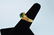 Ladies 14k Gold, Beryl and Diamond Ring Size 6 1/4 - 3