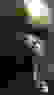 item-57611857=4