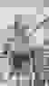 item-57611879=4