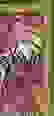item-57611892=7