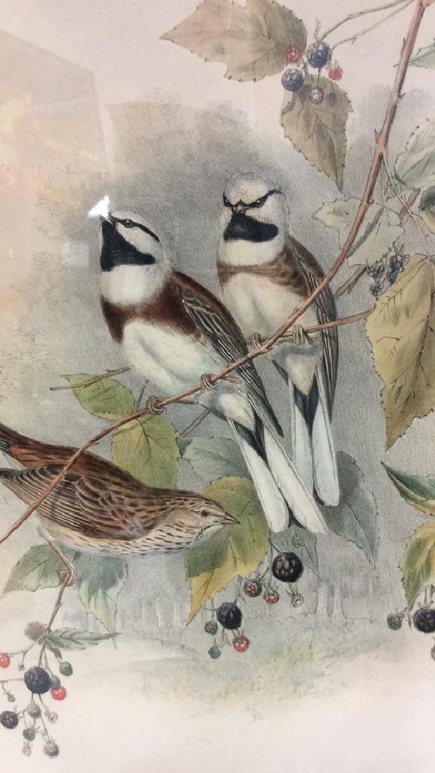 Framed Art Print Birds on Berry Branches (1 of 10)