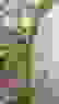 item-57680890=4