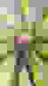 item-57758832=5