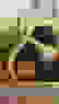item-58027700=5