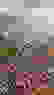 item-58027807=7