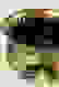 item-58070448=2