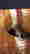 item-58070450=2
