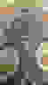 item-58070454=4