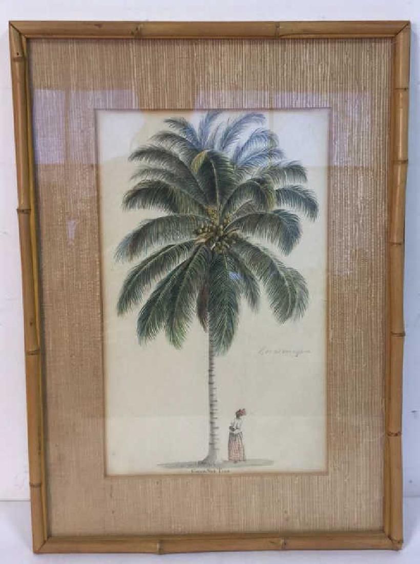 Vintage Cocoa-Nut Tree Watercolor Artwork (1 of 8)
