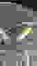 item-58099416=6