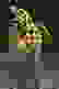 item-58266248=2