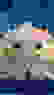 item-58308916=4