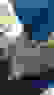 item-58308916=5