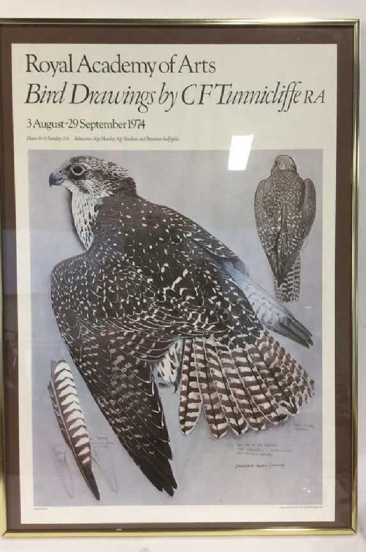 Framed Poster Bird Drawings By C F Tunnicliffe (1 of 8)