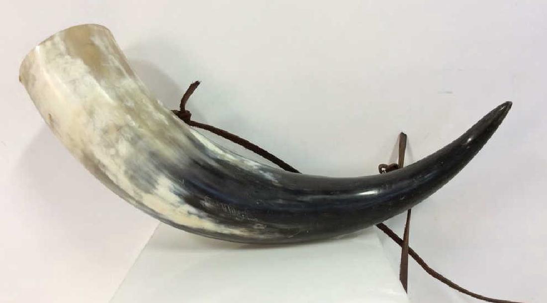 Viking Style Horn Drinking  Fask, Flaghorn (1 of 7)